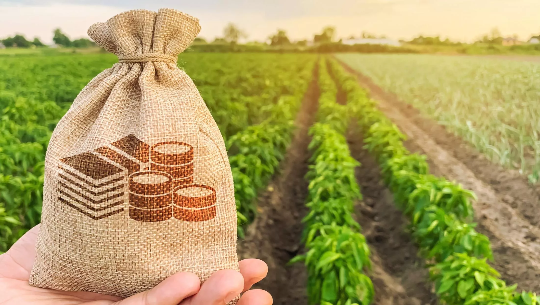 Сельхозпроизводители получат новые льготные кредиты